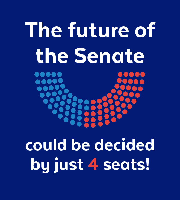 The future of the Senate could be decided by just 4 seats!