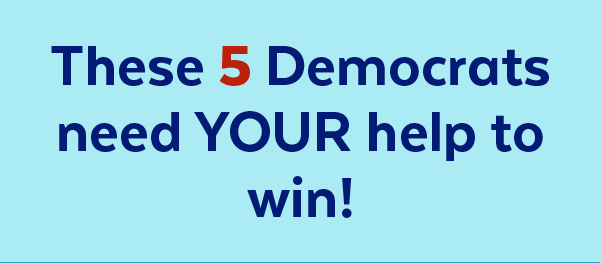 These 5 Democrats need your help to win!