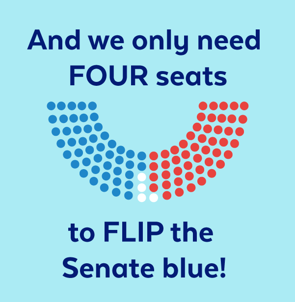 And we only need four seats to flip the Senate blue!