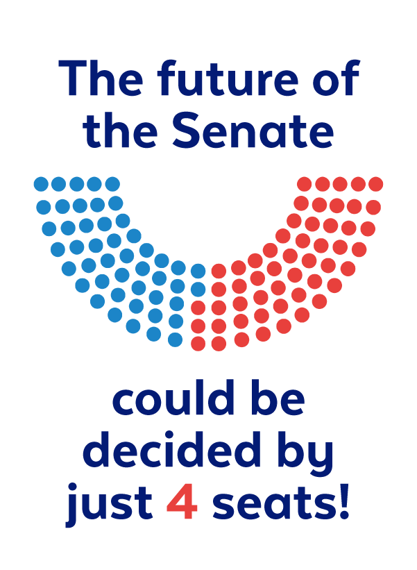 The future of the Senate could be decided by just 4 seats!