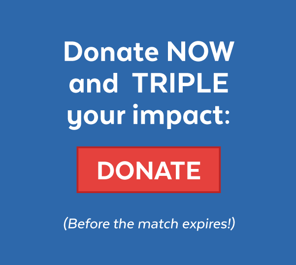 Donate now and triple your impact: Donate (Before the match expires!)