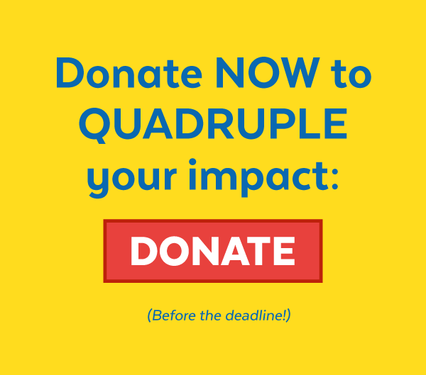 Donate now to quadruple your impact: Donate (Before the deadline!)