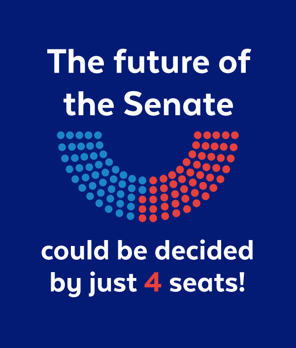 The future of the Senate could be decided by just 4 seats!