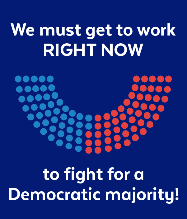 We must get to work right now to fight for a Democratic majority!