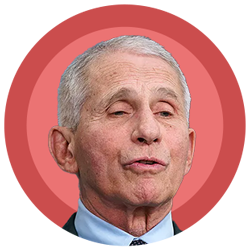 Dr. Fauci