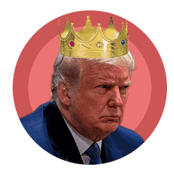 Donald Trump Crown falling off GIF