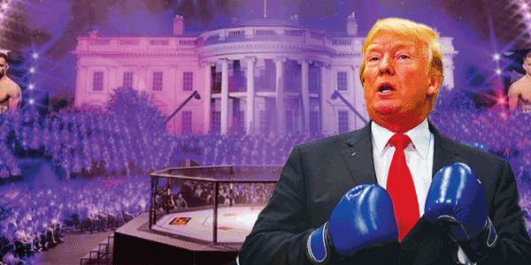 Trump UFC