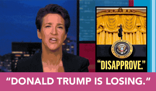 Maddow Dissaprove: Donald Trump is losing.