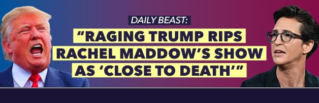 Daily Beast: 'Raging Trump rips Rachel Maddow's show as 'close to death'