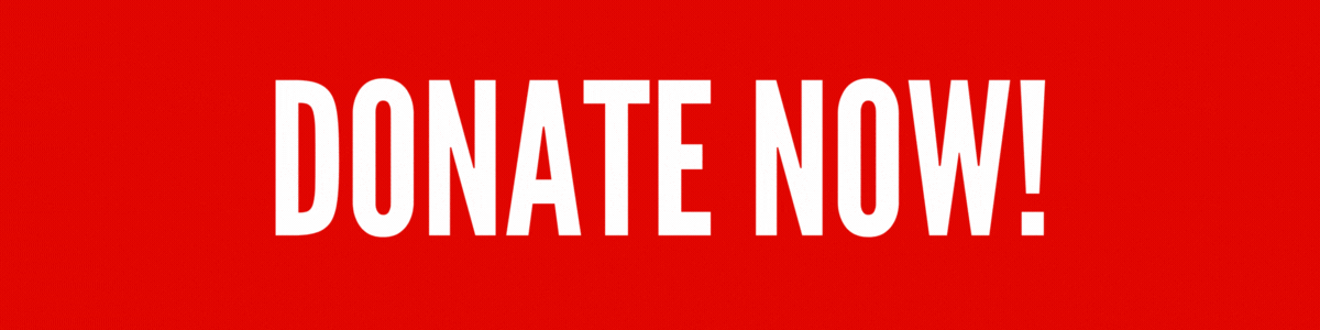 Donate now flashing animated graphic