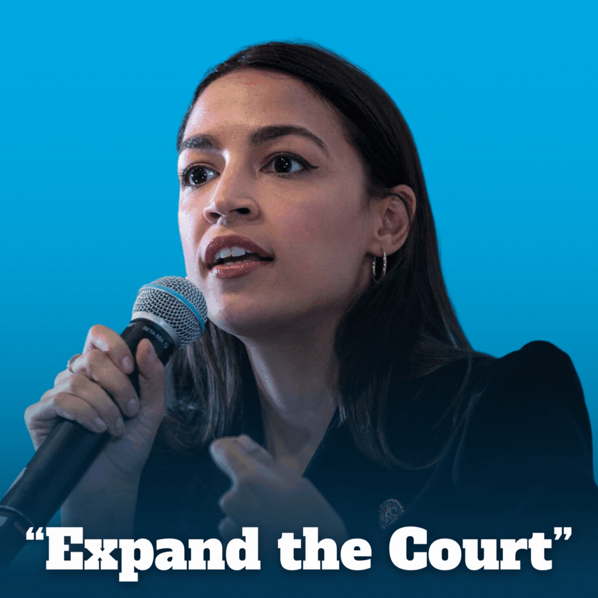 Democrats supporting the Judiciary Act!