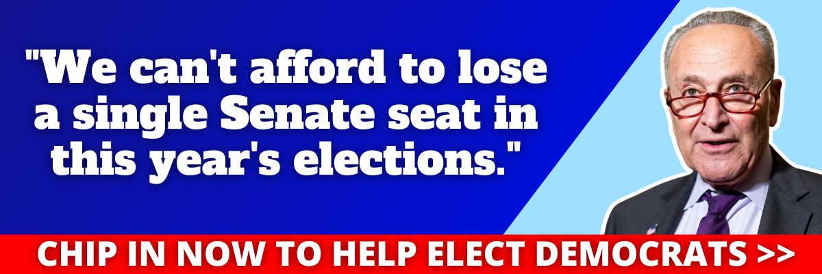 Chuck Schumer: We can't afford to lose a single Senate seat in this year's elections.