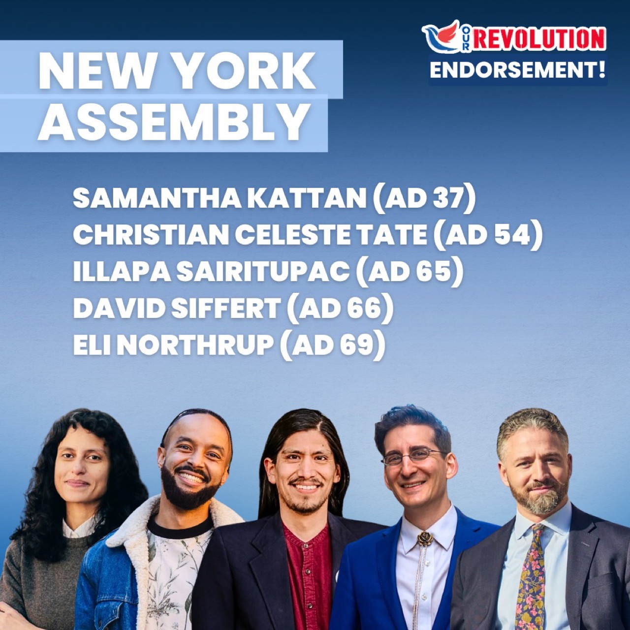 New York State Assembly endorsement slate