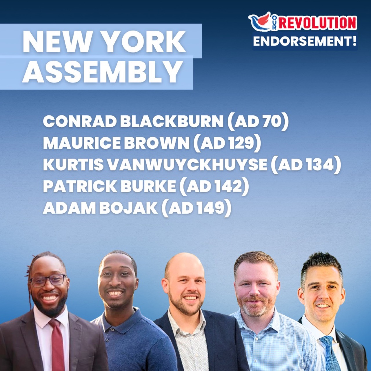 New York State Assembly endorsement slate