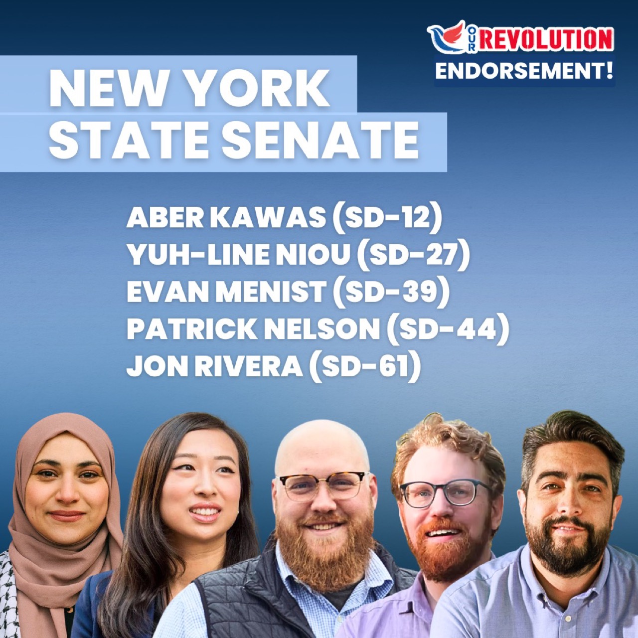 New York State Senate endorsement slate