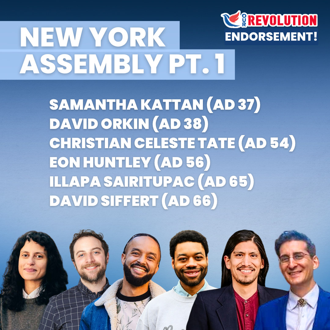 Our Revolution New York Assembly endorsement slate, part 1: Samantha Kattan AD 37, David Orkin AD 38, Christian Celeste Tate AD 54, Eon Huntley AD 56, Illapa Sairitupac AD 65, David Siffert AD 66