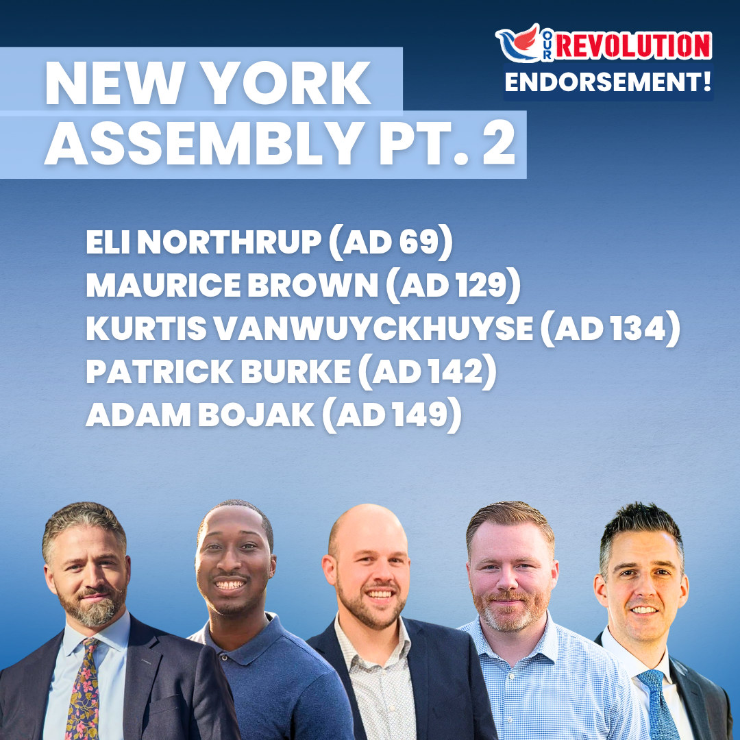 Our Revolution New York Assembly endorsement slate, part 2: Eli Northrup AD 69, Maurice Brown AD 129, Kurtis VanWuyckhuyse AD 134, Patrick Burke AD 142, Adam Bojak AD 149