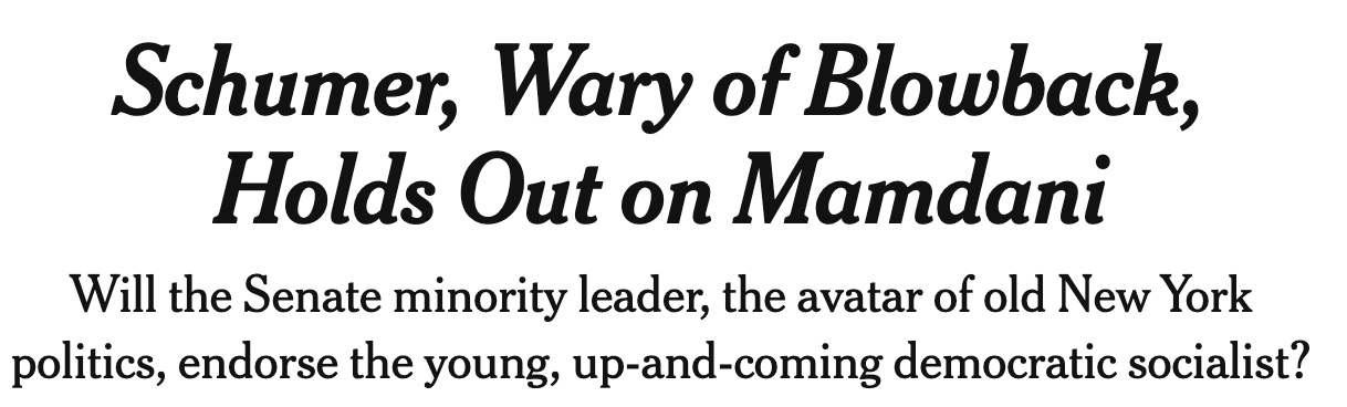 Headline: Schumer, Wary of Blowback, Holds Out on Mamdani