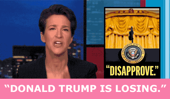Rachel Maddow: Trump is losing