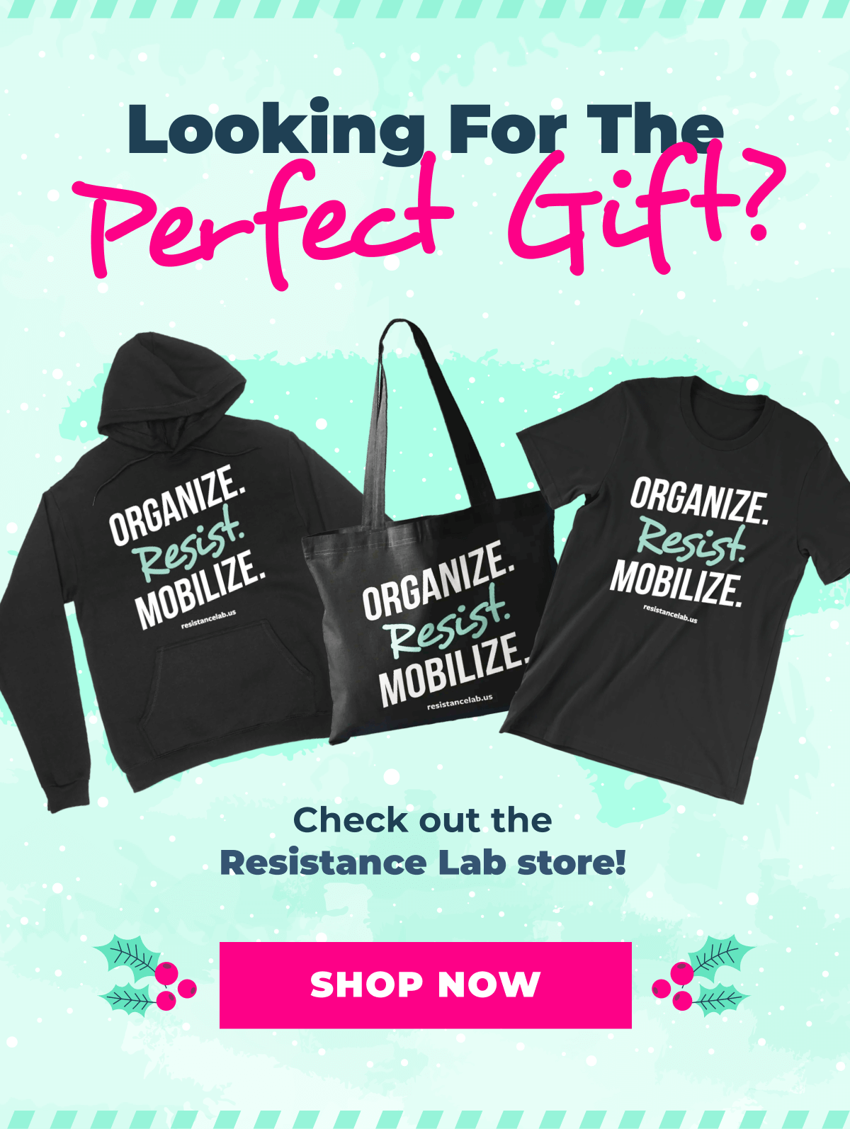 Pramila Jayapal Merch Store 