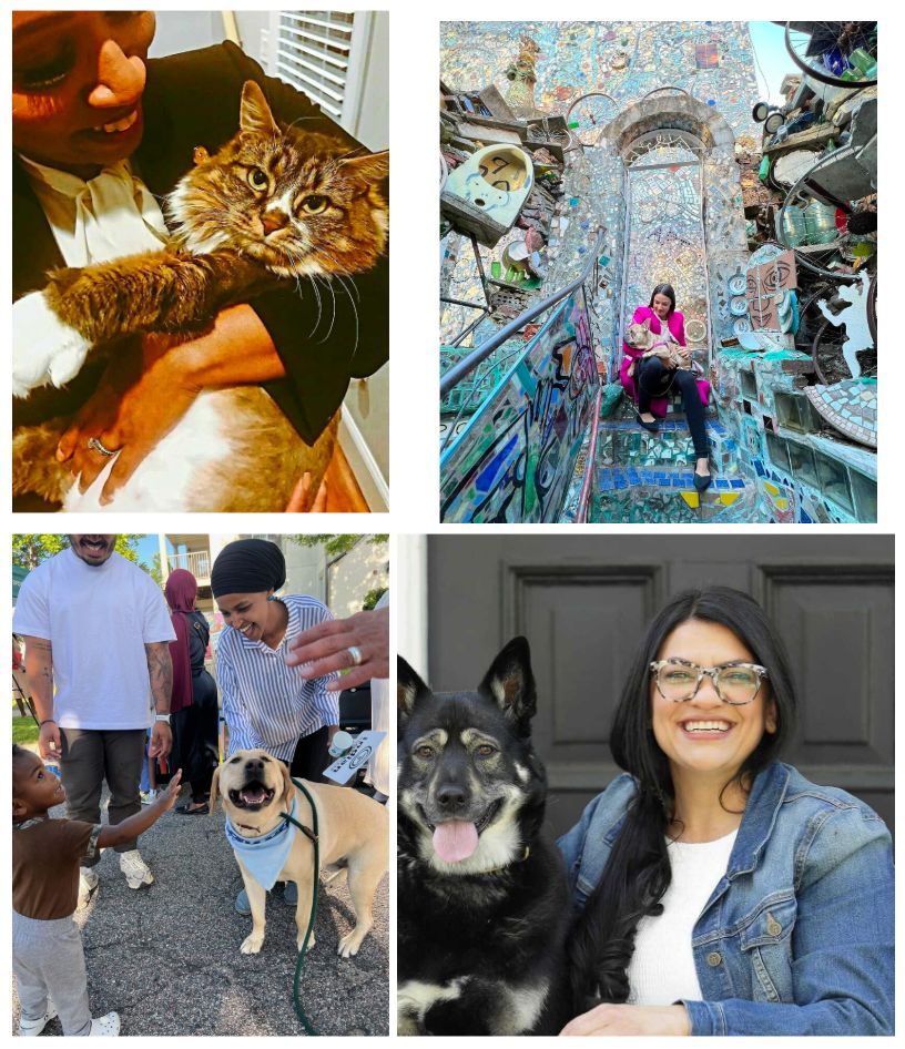 A four panel image of Ayanna, AOC, Ilhan, and Rashida with their pets. Ayanna is holding a grey and black cat. AOC is carrying her dog while sitting outside on stairs. Ilhan is saying hi to the community while walking her dog, and Rashida is sitting on her stoop with her dog.
