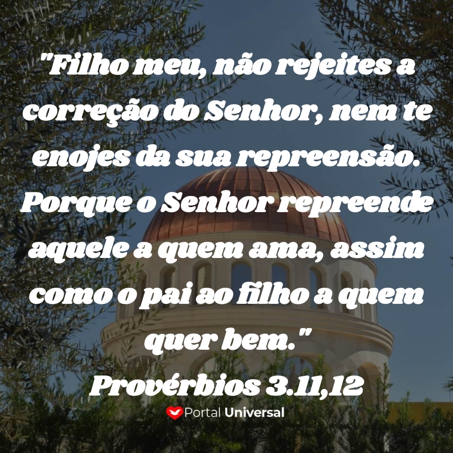 FOLHETO MISSA RAINHA DOS APOSTOLOS - Palotinos, image size:899x899