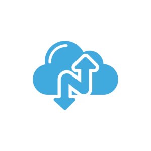 NARBULUT 100GB YEDEKLEME ALANI 1 SERVER 1AY - PROFESSIONAL EDITION