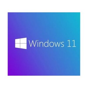 MS WINDOWS 11 PRO 64 BIT TURKCE OEM FQC-10556