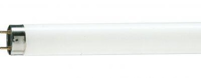 PHILIPS FLORESAN AMPUL TL-D 36W SNOW WHİTE 12000K TR 1SL25