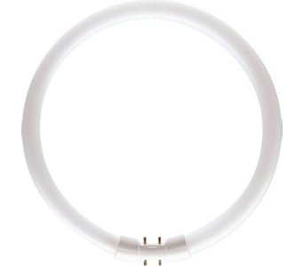 PHILIPS MASTER TL5 CİRCULAR 22W/840 1CT/10
