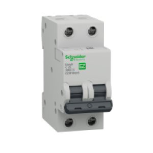 SCHNEIDER ELECTRIC EZ9F56225 2X25A 6KA C TİPİ OTOMATİK SİGORTA