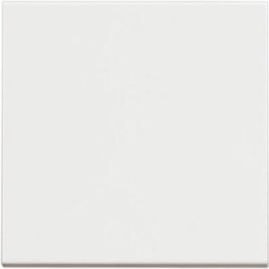 BTİCİNO RW4003M2 2 YOLLU ANAHTAR