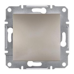 SCHNEİDER ELECTRİC EPH5600169 ASFORA PLUS KÖR KAPAK BRONZ ÇERÇEVESİZ