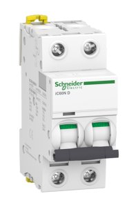 Schneider A9F75225 2P 25A D Tipi Minyatür Otomatik Sigorta