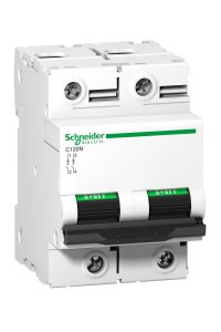 Schneider A9N18361 C120N 2P 80A C Tipi Otomatik Sigorta