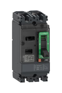 Schneider C10F2TM080 NSX100F 18kA 2P 80A Kompakt Şalter