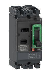 Schneider C10F2TM100 NSX100F 18kA 2P 100A Kompakt Şalter