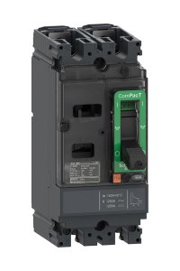 Schneider C10M2TM016 NSX100M 25kA 2P 16A Kompakt Şalter