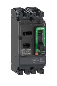 Schneider C10M2TM025 NSX100M 25kA 2P 25A Kompakt Şalter