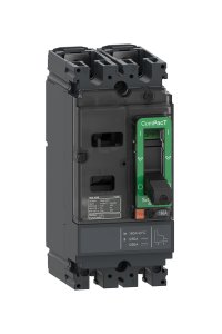 Schneider C10M2TM050 NSX100M 25kA 2P 50A Kompakt Şalter