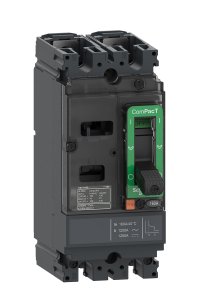 Schneider C10M2TM080 NSX100M 25kA 2P 80A Kompakt Şalter