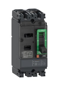 Schneider C10M2TM100 NSX100M 25kA 2P 100A Kompakt Şalter