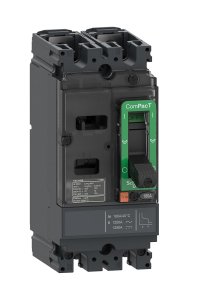 Schneider C10S2TM040 NSX100S 70kA Ac-Dc Tmd Kompakt Şalter