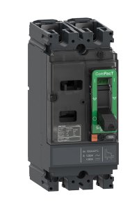 Schneider C10S2TM063 NSX100S 70kA Ac-Dc Tmd Kompakt Şalter