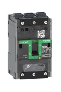 Schneider C11N3TM100L NSXM100N 100A Tmd Elink Kompakt Şalter