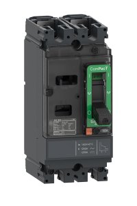 Schneider C16F2TM125 NSX160F 2P 125A Tmd Kompakt Şalter
