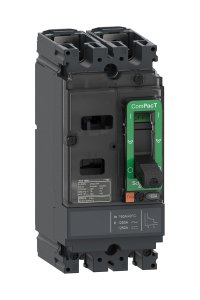 Schneider C16S2TM125 NSX160S 2P 125A Tmd Kompakt Şalter
