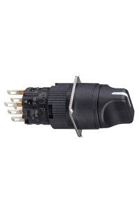 Schneider XB6EAD222P 16mm 2 Konumlu Siyah Mandal Buton