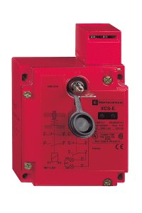 Telemecanique Sensors XCSE5312 M20 24V Metal Emniyet Şalteri