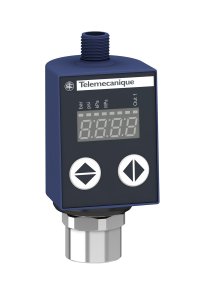 Telemecanique Sensors XMLR010G1P25 XMLR PNP Basınç Sensörü